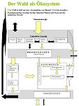 oekosystem