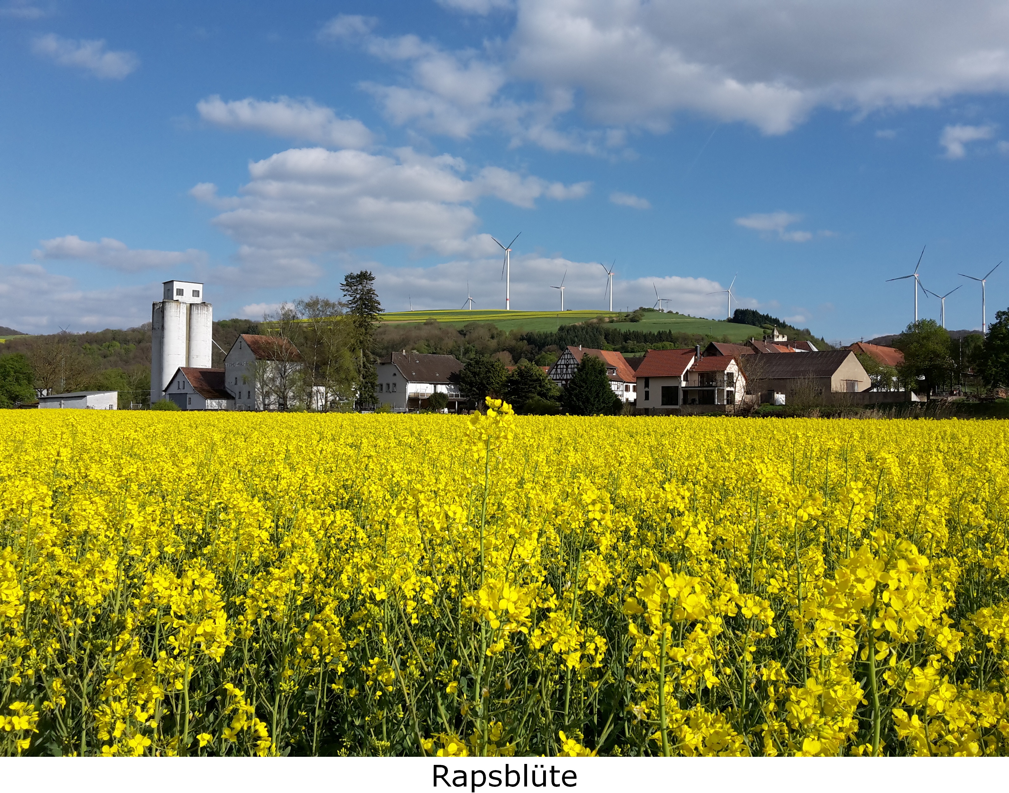 Aussichtspunkt Rehborn