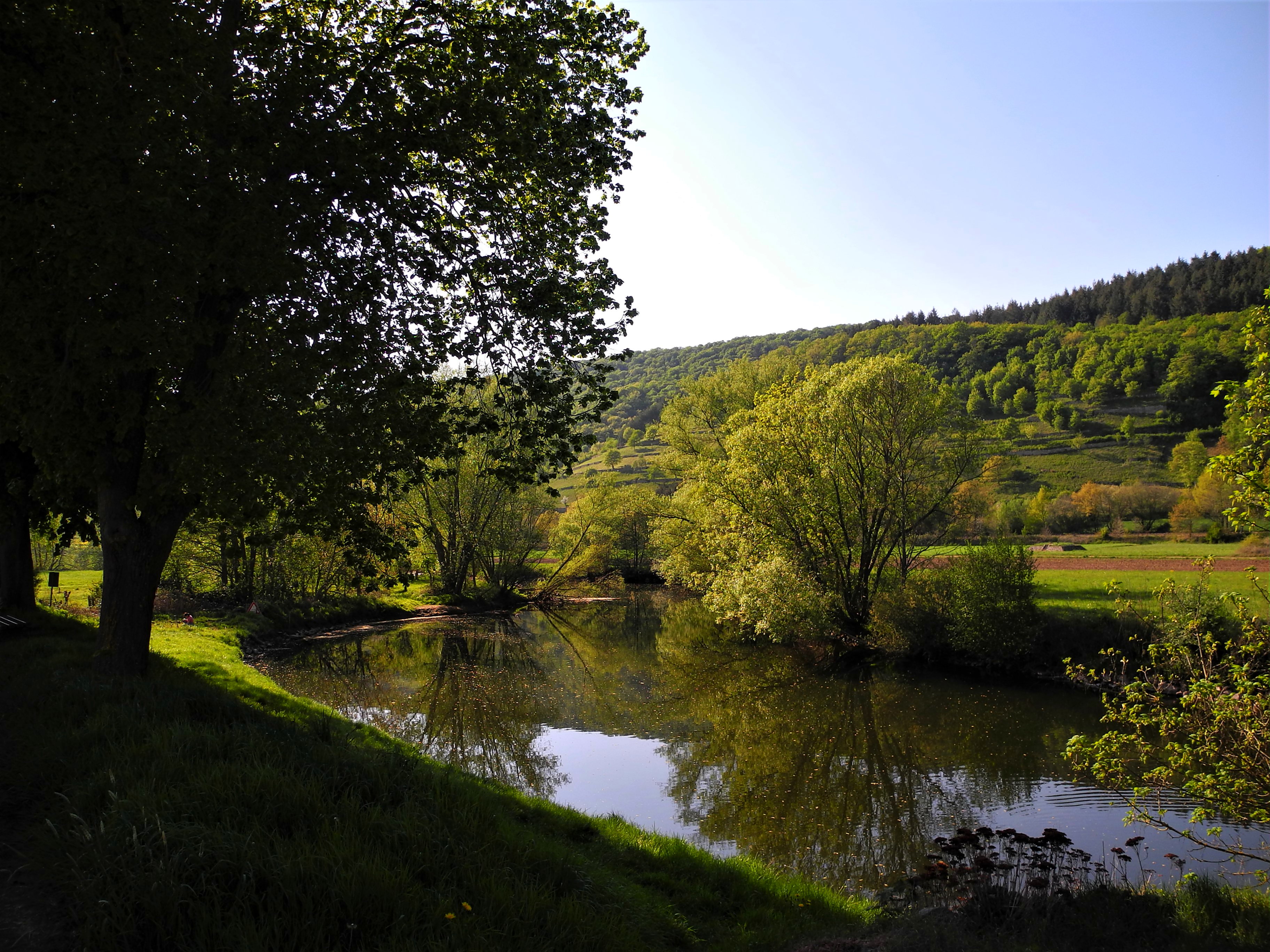 Der Glan bei Rehborn